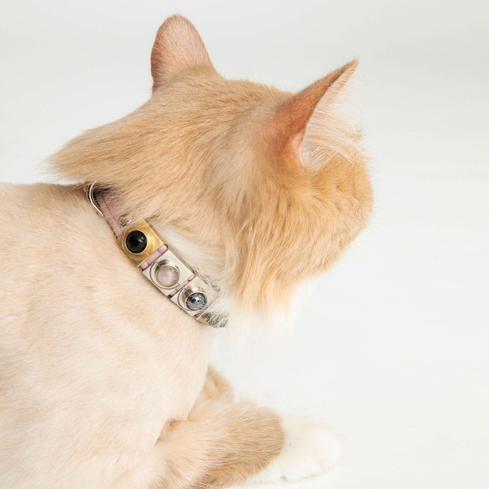 TEEK - Onyx Moon Crystal Charm – Gold or Silver | DIPHDA PET SUPPLIES TEEK DIP