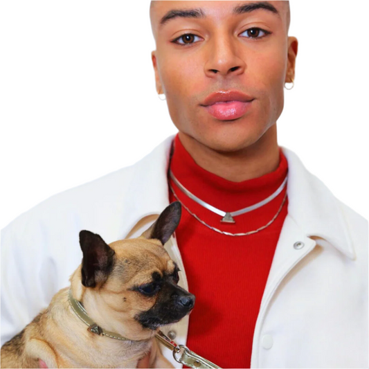 TEEK - Champagne Galaxy Match Your Pet Gift Box Set PET SUPPLIES TEEK DIP