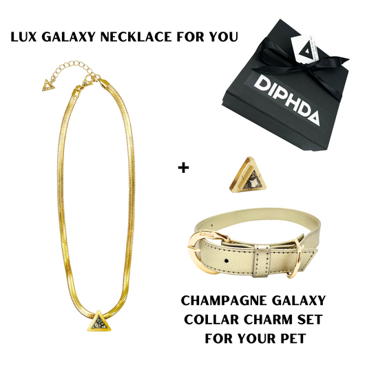 TEEK - Champagne Galaxy Match Your Pet Gift Box Set PET SUPPLIES TEEK DIP S Gold Color