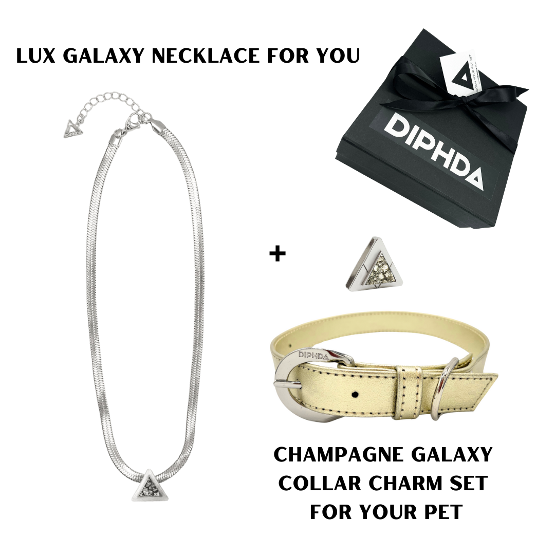 TEEK - Champagne Galaxy Match Your Pet Gift Box Set PET SUPPLIES TEEK DIP S Silver Color