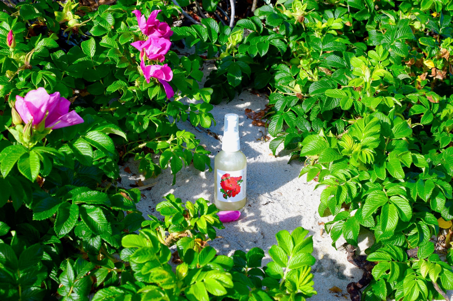 TEEK - Wild Rose Face Wash FACIAL SUPPLIES TEEK PM