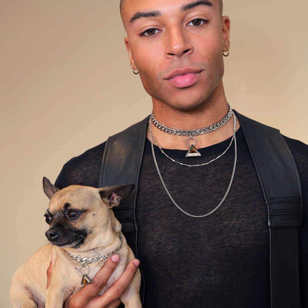 TEEK - Fierce Pet Necklace PET SUPPLIES TEEK DIP