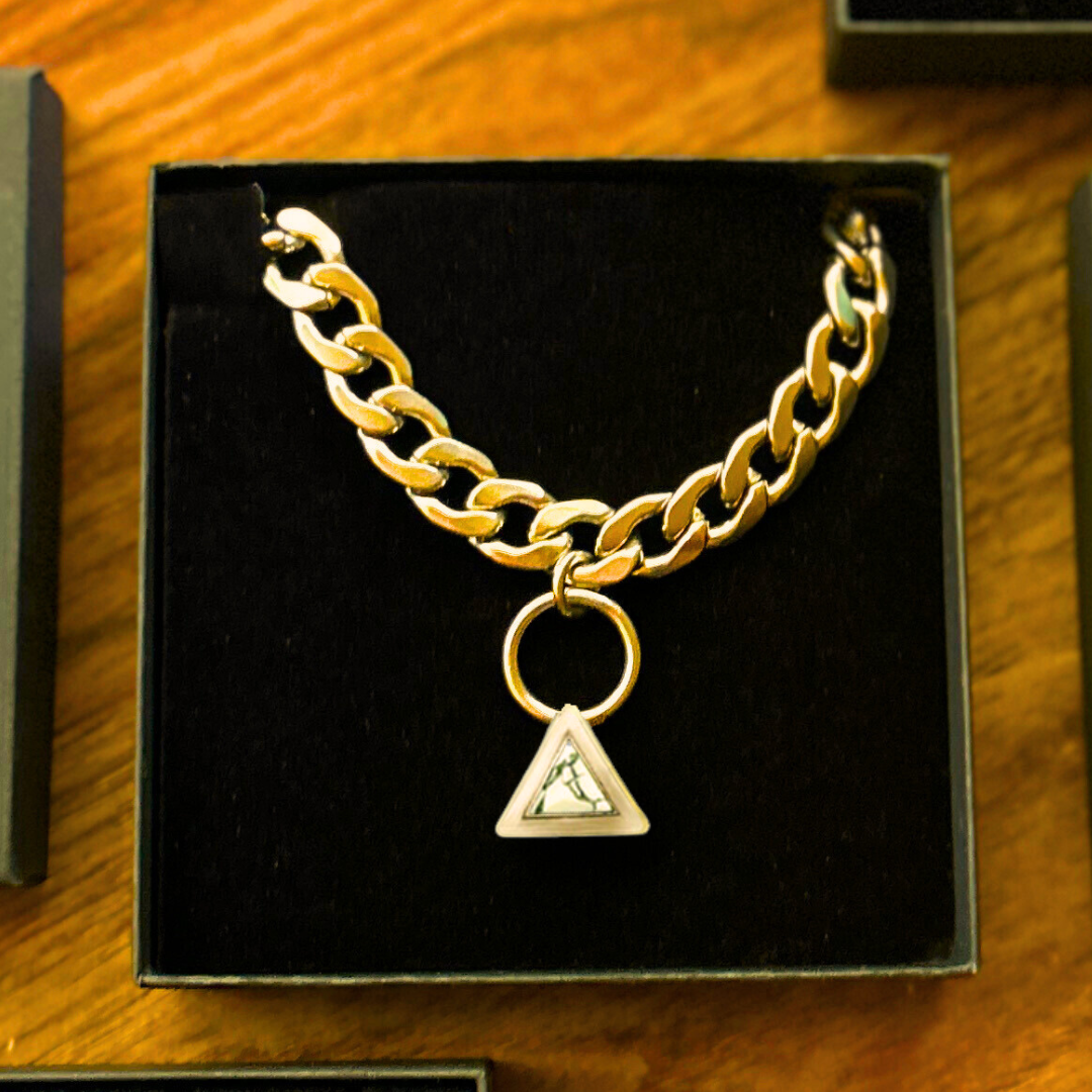 TEEK - Fierce Gold Pet Necklace PET SUPPLIES TEEK DIP