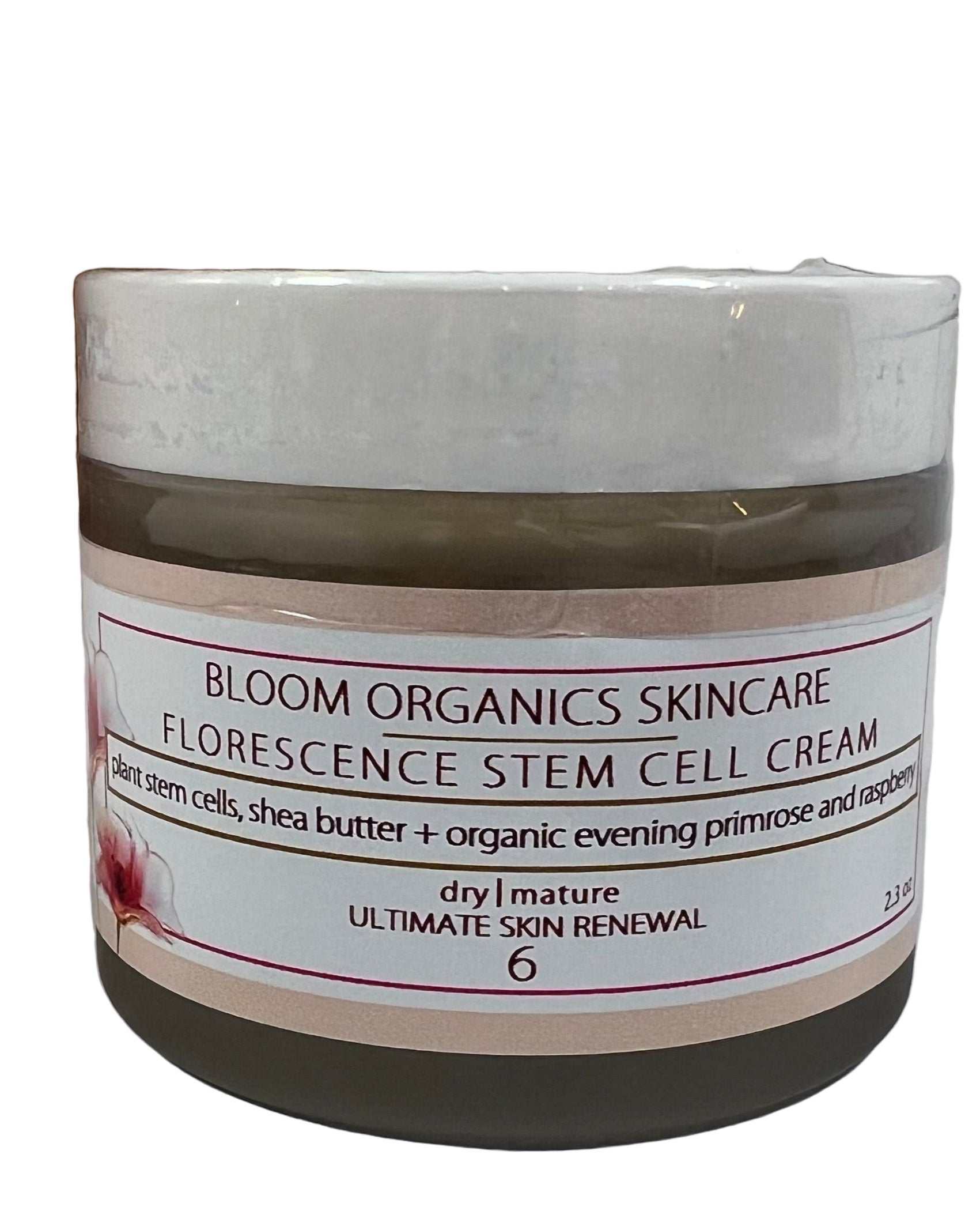 TEEK - Florescence Stem Cell Cream FACIAL SUPPLIES TEEK BOS