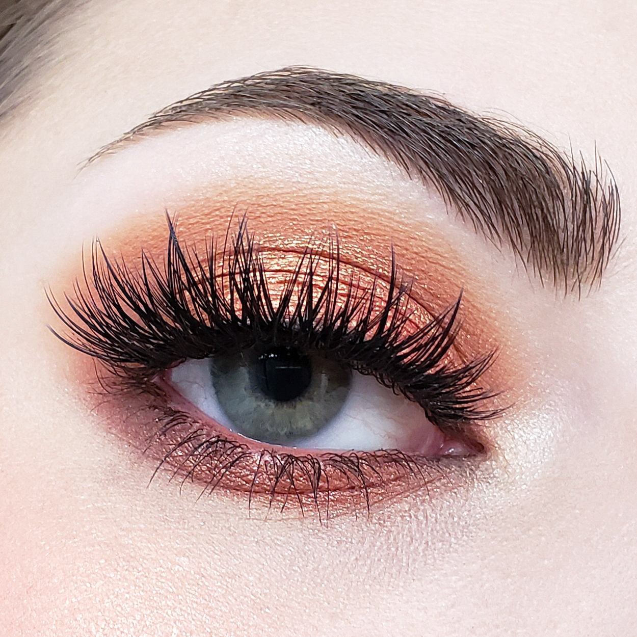 TEEK - Crown Pro 10 Color Fuego Collection MAKEUP TEEK CB