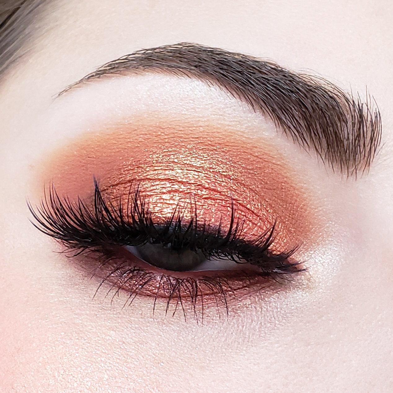 TEEK - Crown Pro 10 Color Fuego Collection MAKEUP TEEK CB