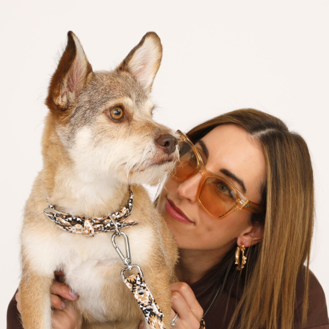 TEEK - Diamond Cork Leather Collar PET SUPPLIES TEEK DIP