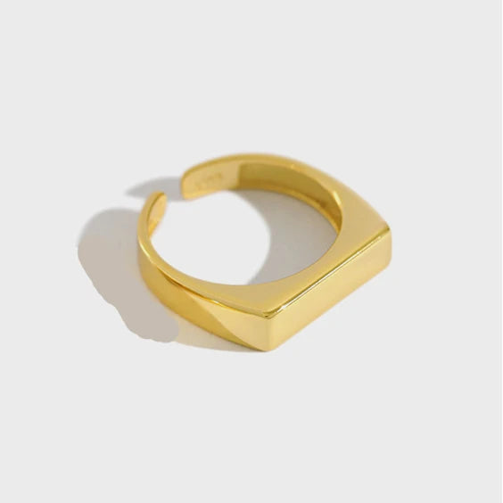 TEEK - Gold or Silver Color Minimalist Ring JEWELRY theteekdotcom   
