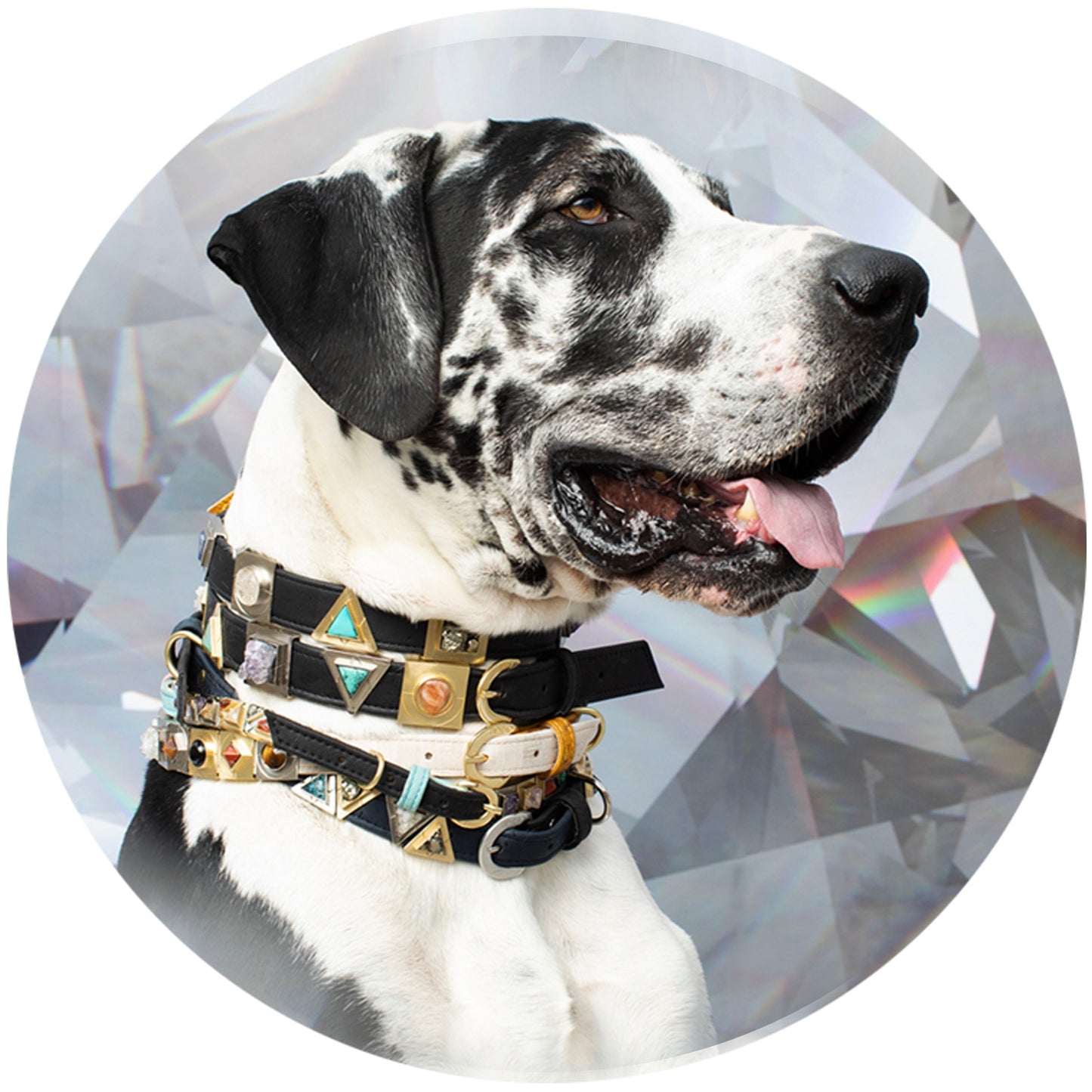 TEEK - Diamond Cork Leather Collar PET SUPPLIES TEEK DIP