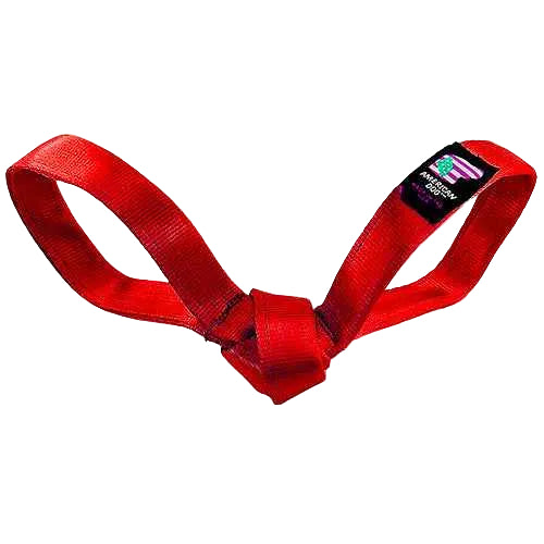LUCKY DOG $7 Love Bird Seatbelt Tug