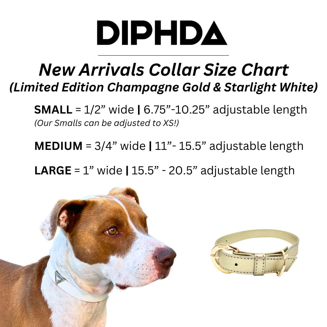 TEEK - Champagne Gold Cactus Collar PET SUPPLIES TEEK DIP