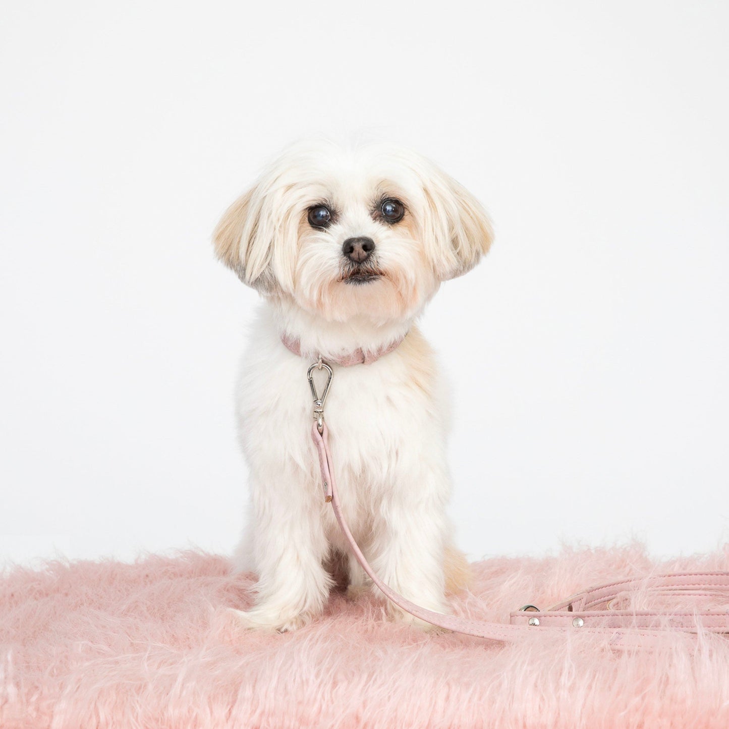 TEEK - Love Pink Cork Leather Leash PET SUPPLIES TEEK DIP