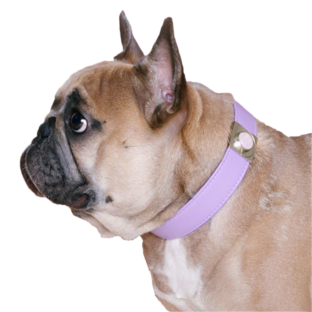 TEEK - Lavender Rose Collar Charm Set PET SUPPLIES TEEK DIP S Gold Color