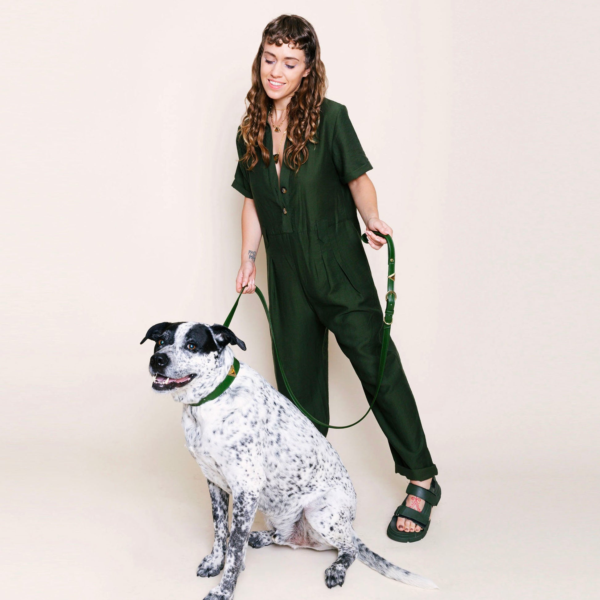 TEEK - Olive Tiger Match Your Pet Gift Box Set PET SUPPLIES TEEK DIP