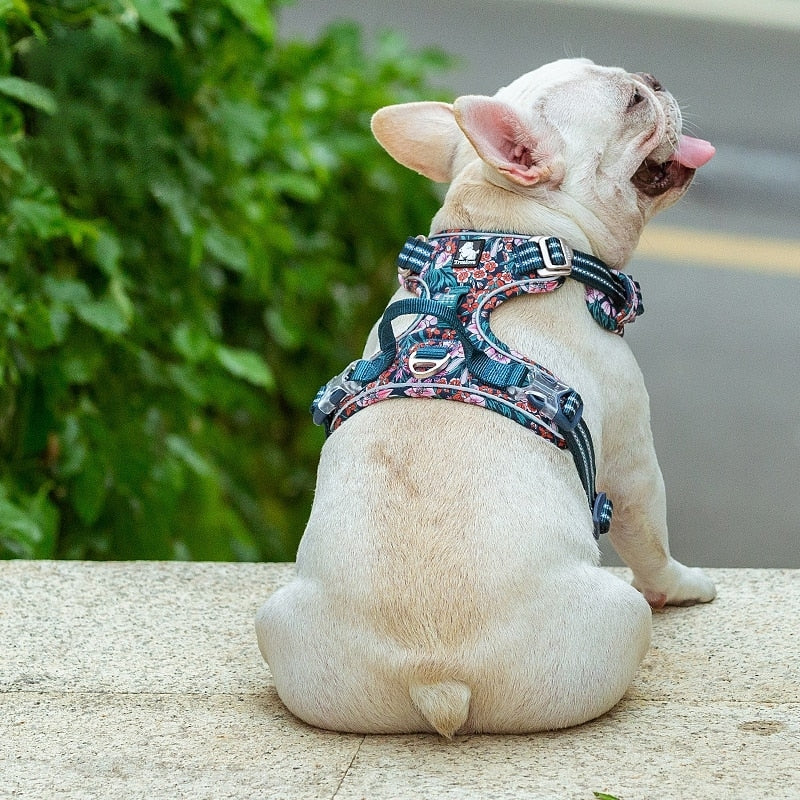 TEEK - Various Wardrobe Dog Harness PET SUPPLIES theteekdotcom   