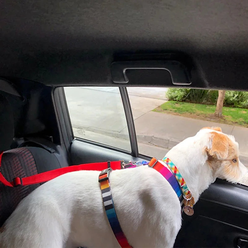 TEEK - Two-In-One Pet Car Seat Belt PET SUPPLIES theteekdotcom   