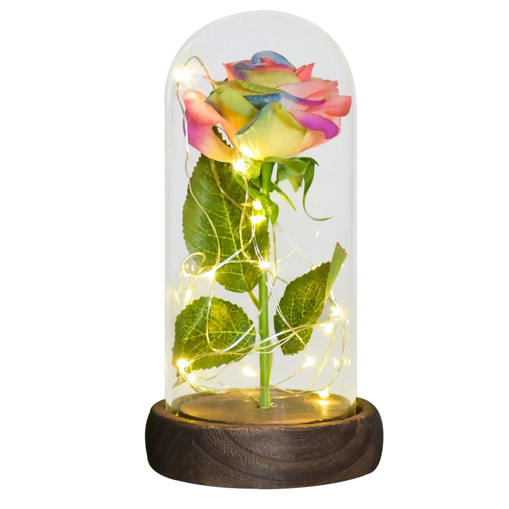 TEEK - Preserved Roses with LED Light Decor HOME DECOR theteekdotcom Silk Rose-Rainbow  