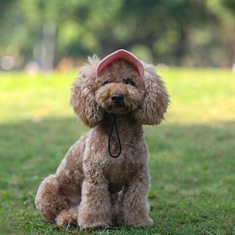 TEEK - Dog Adjustable Baseball Cap PET SUPPLIES theteekdotcom   