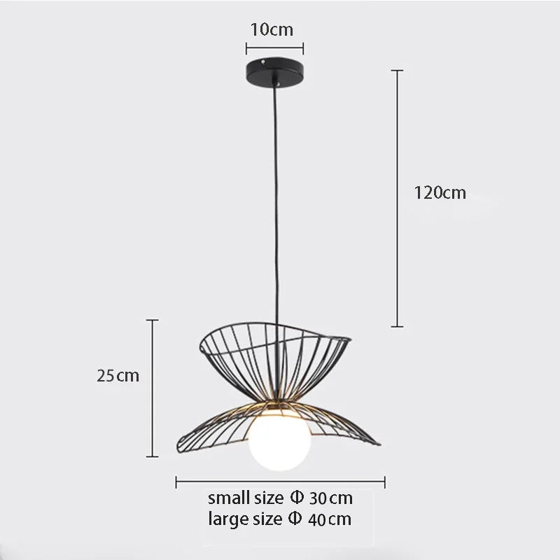 TEEK - Nordic Iron Hanging Light Fixture HOME DECOR theteekdotcom Black 30 40cm G9  