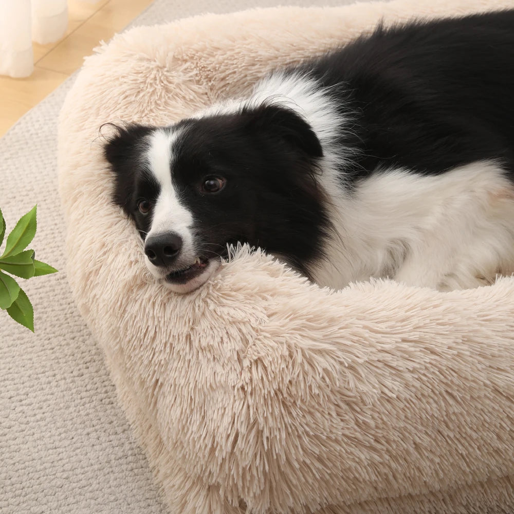 TEEK - Cozy Plush Dog Sofa Bed With Removable Cover PET SUPPLIES theteekdotcom   