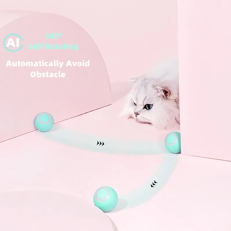 TEEK - Electric Cat Ball Toy PET SUPPLIES theteekdotcom   