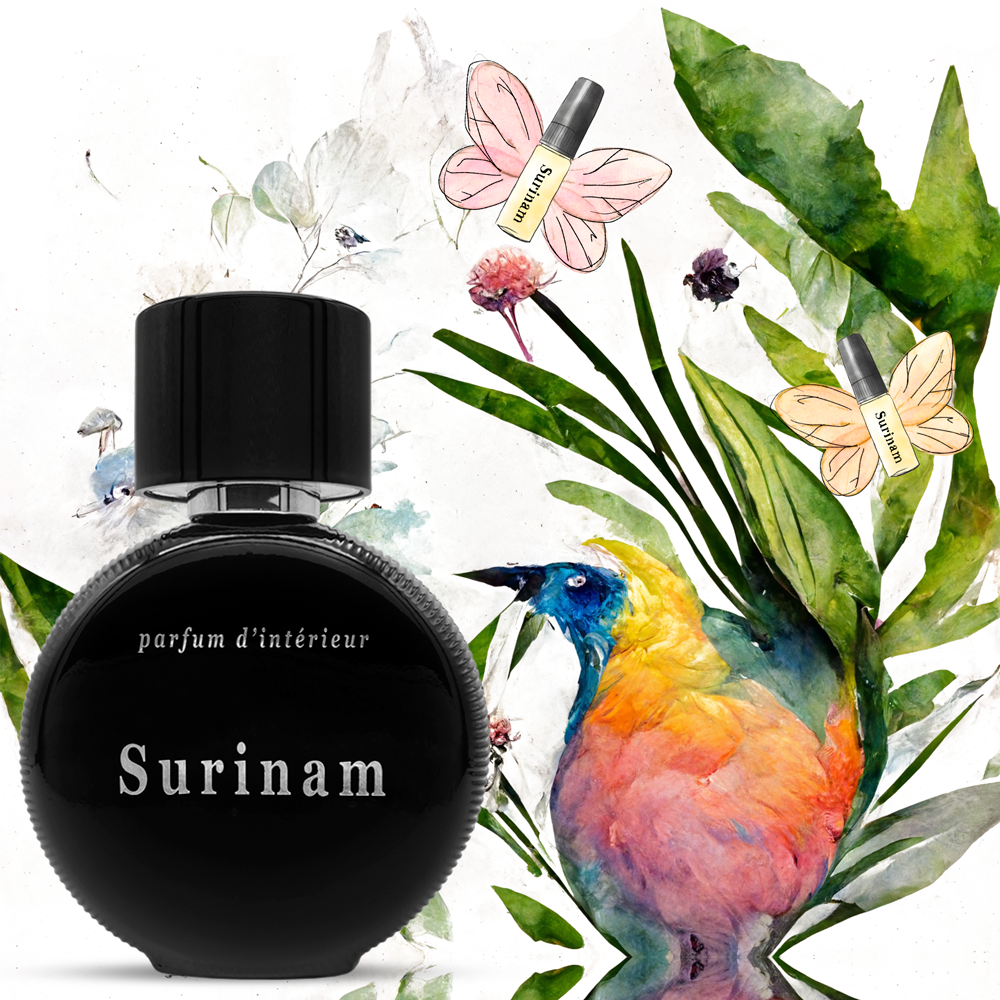 TEEK - Surinam Parfum by Flowering Pharmacy® HOME DECOR TEEK BCB