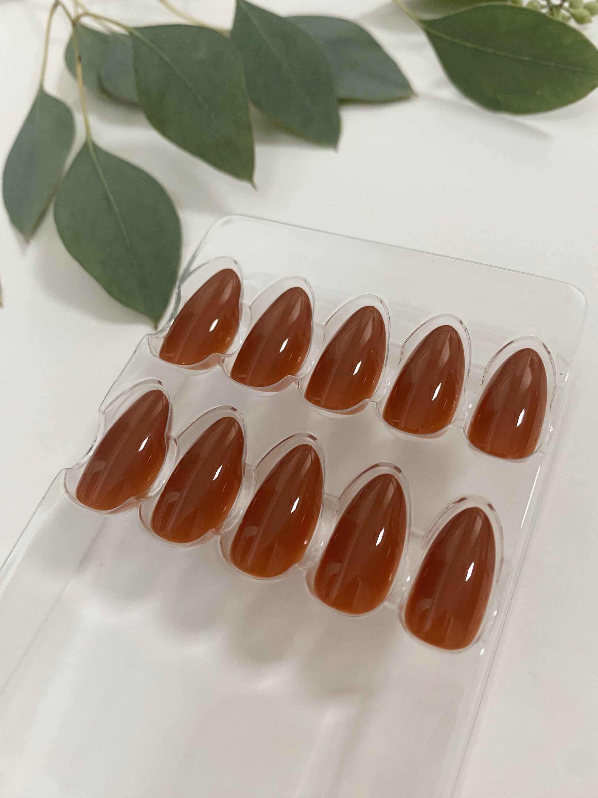 TEEK - Spiced Cider Nail Set NAIL ART TEEK NN