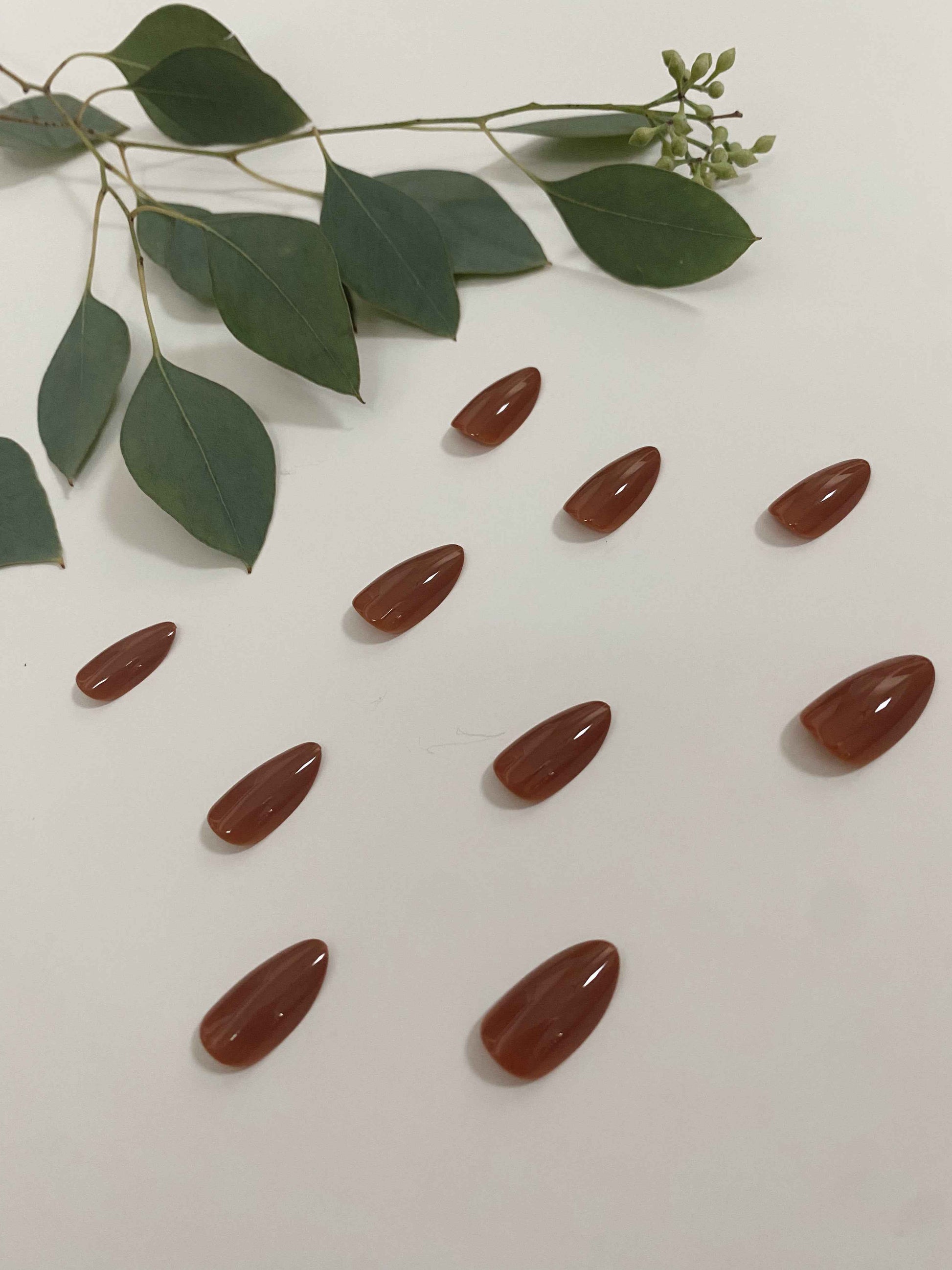 TEEK - Spiced Cider Nail Set NAIL ART TEEK NN