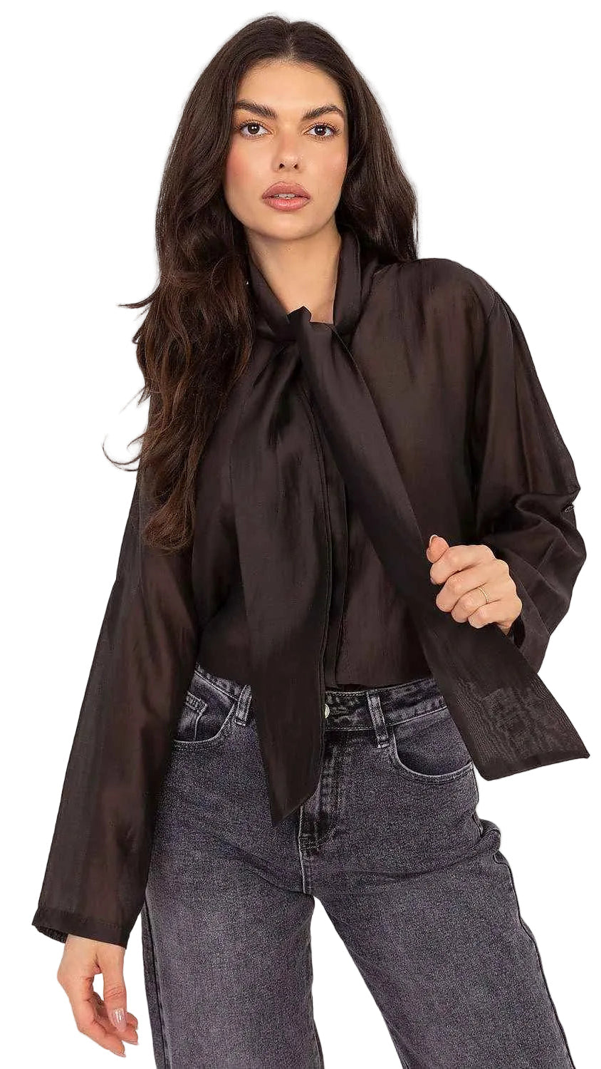 TEEK - Sheer Long sleeve Neck Ribbon Tie Shirt TOPS TEEK MH brown One Size