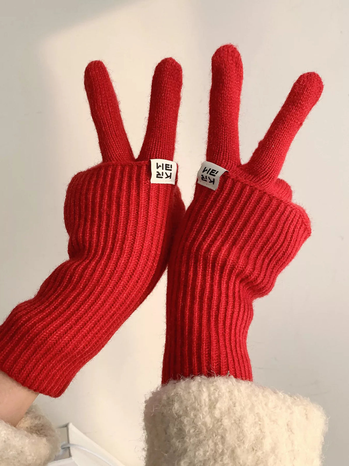 TEEK - Ribbed Knit Winter Gloves GLOVES TEEK Trend