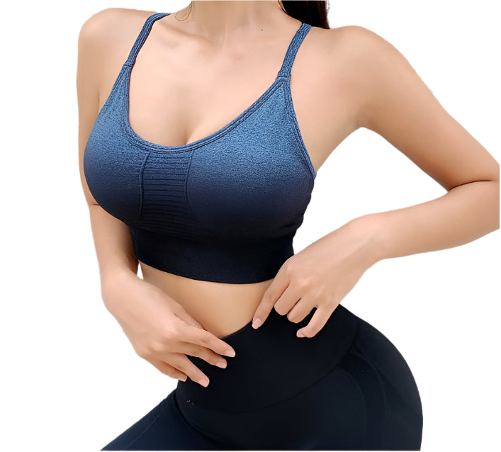 TEEK - Gradient Sports Bra TOPS TEEK RP Small Blue