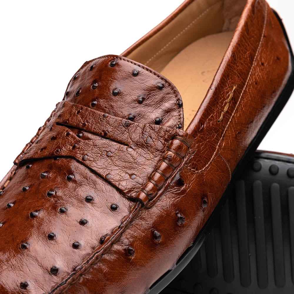 33-100-BDY MONZA Ostrich Quill Driver, Brandy Shop TEEK ZI