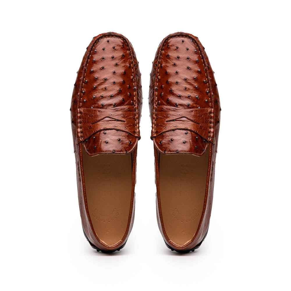 33-100-BDY MONZA Ostrich Quill Driver, Brandy Shop TEEK ZI