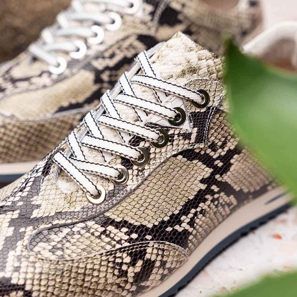 TEEK - 65-215-WHT PERI Python Embossed Italian Calfskin Sneakers Black / White SHOES TEEK ZI