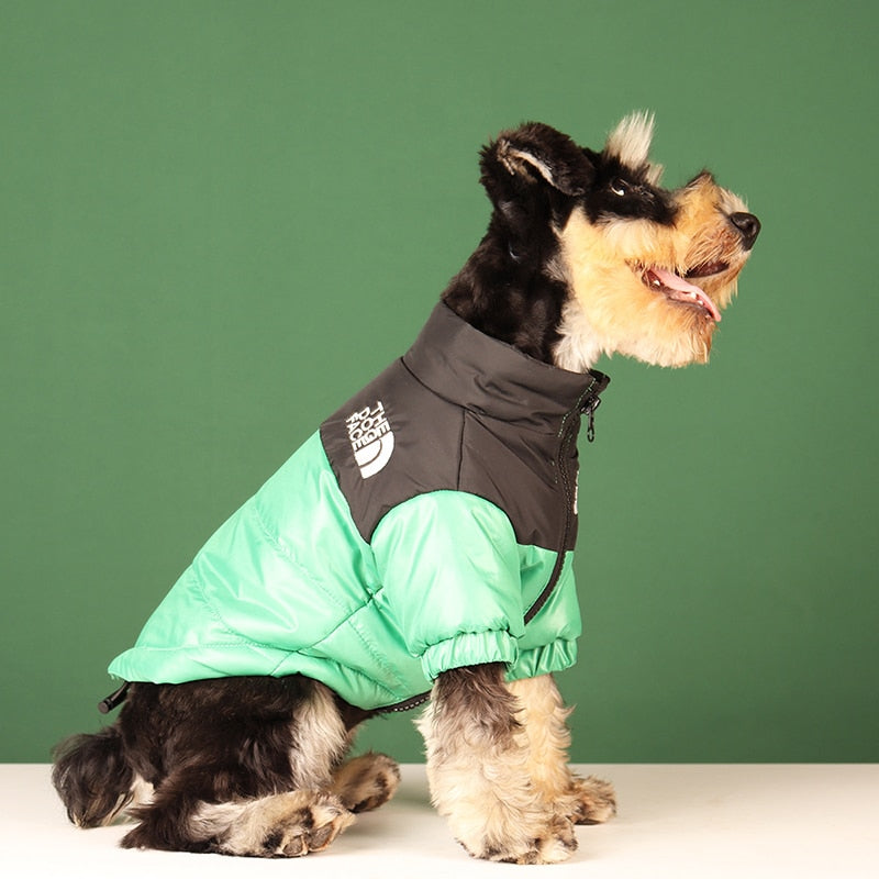 TEEK - The Dog Face Reflective Coat PET SUPPLIES theteekdotcom   