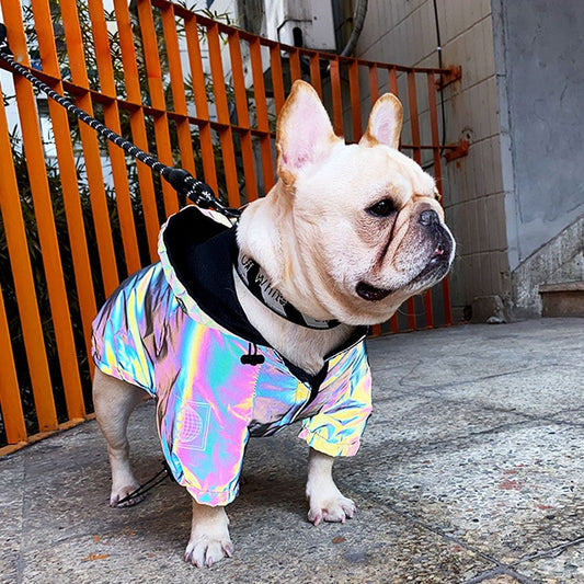TEEK - Reflective Dog Jacket PET SUPPLIES theteekdotcom   