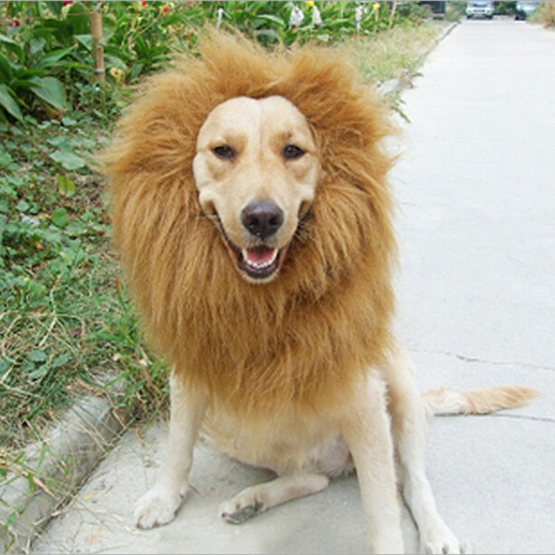 TEEK - Pet Lion Mane PET SUPPLIES theteekdotcom   