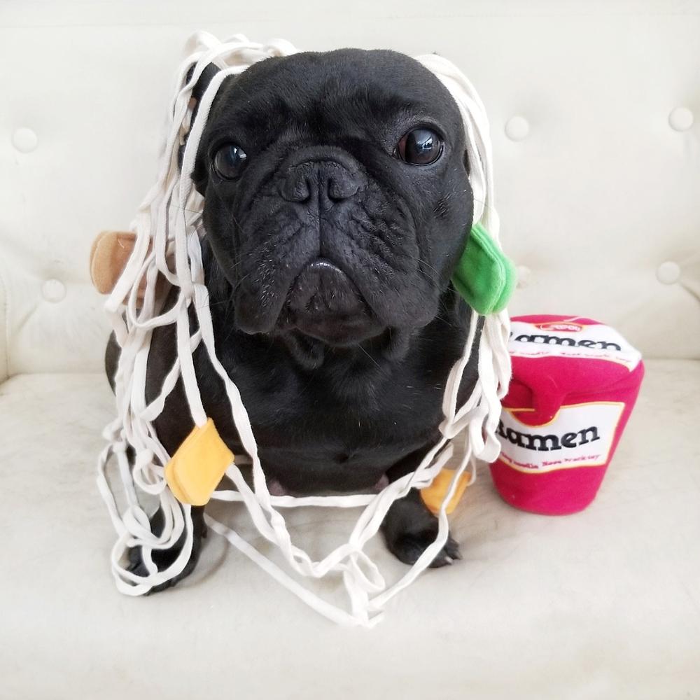 TEEK - Noodle Cup Toy PET theteekdotcom   