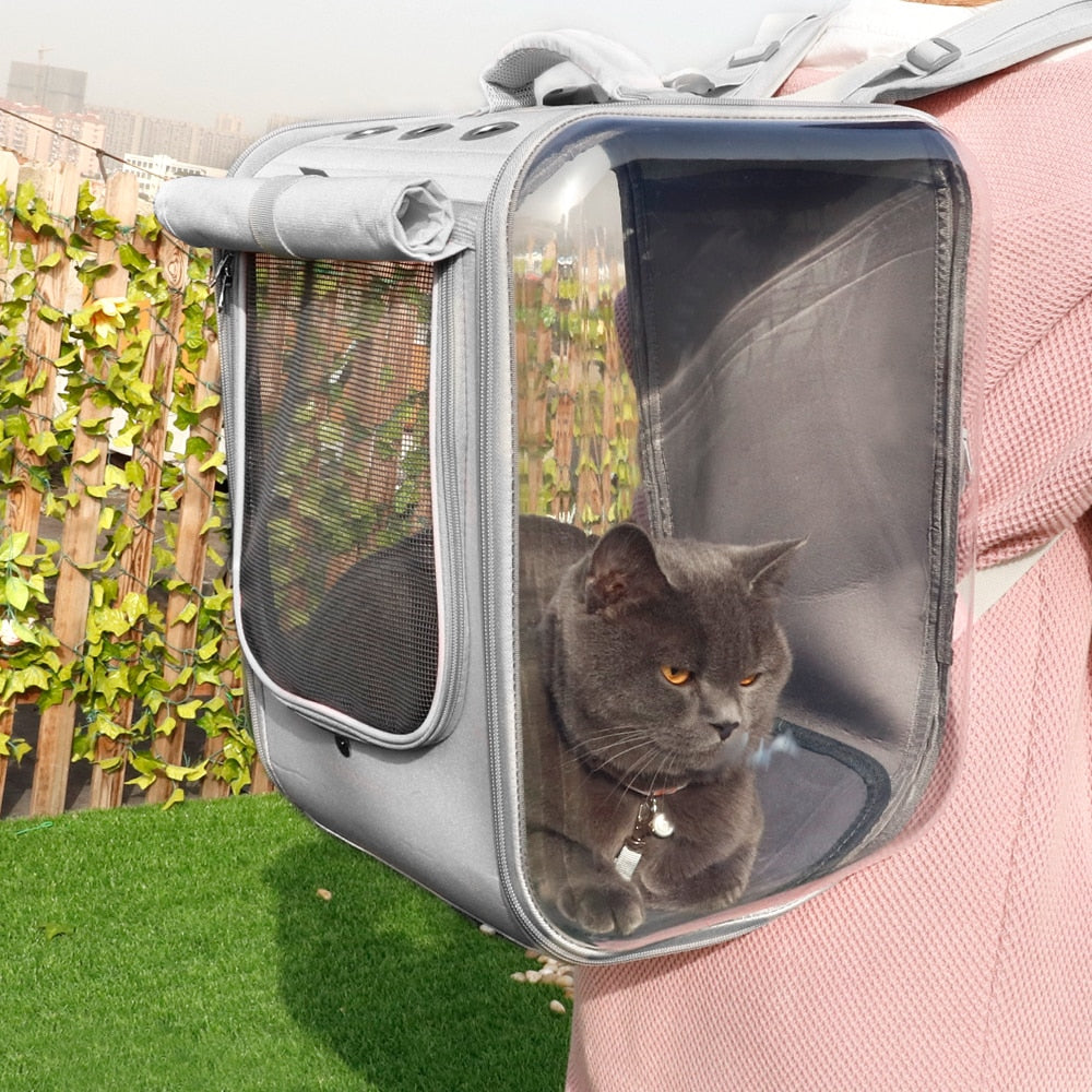 TEEK - Portable Sunroom Carrying Pet Bag PET SUPPLIES theteekdotcom   