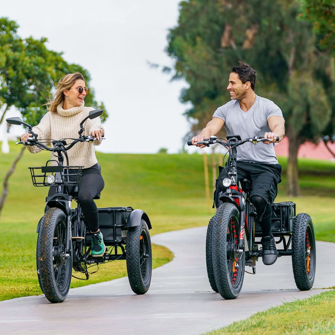 TEEK - Electric Fat Tire 48V 1000W Three-Wheeled Bike TRANSPORTATION theteekdotcom   