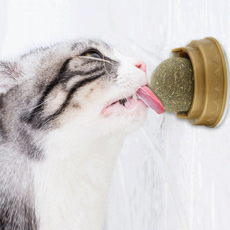TEEK - Stick-on Ball Natural Cat Grass Treat PET SUPPLIES theteekdotcom   