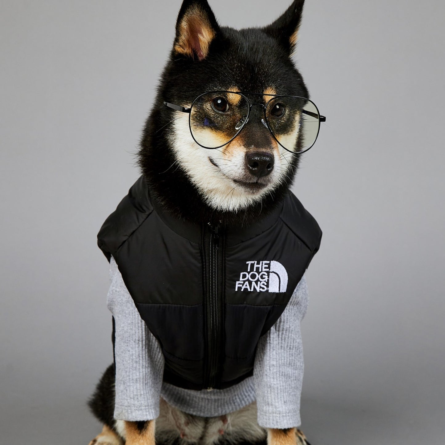 TEEK - Pet Padded Poly Down Vest PET SUPPLIES theteekdotcom Black S 
