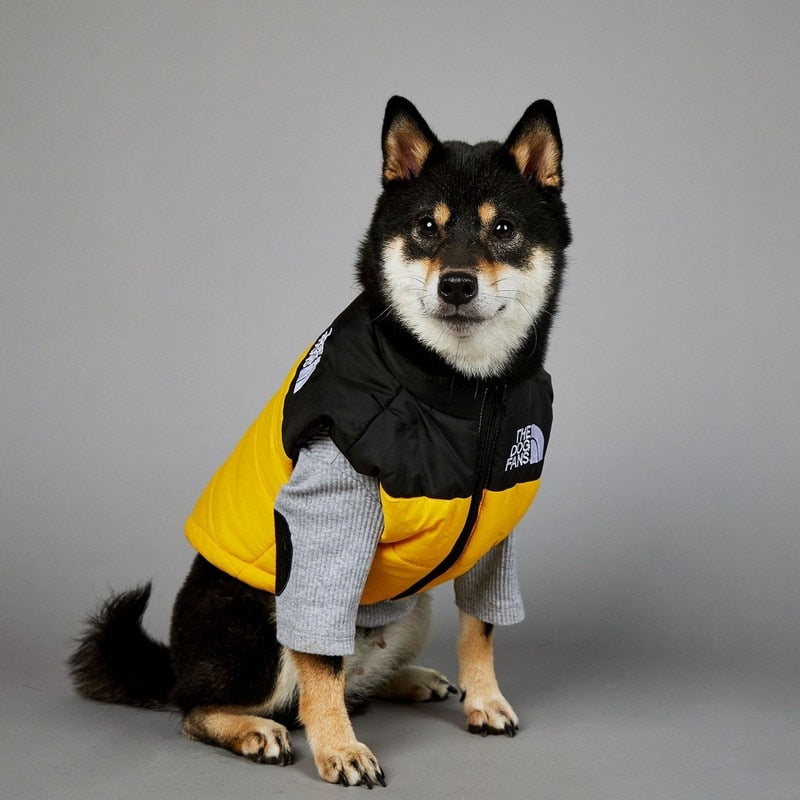 TEEK - Pet Padded Poly Down Vest PET SUPPLIES theteekdotcom   