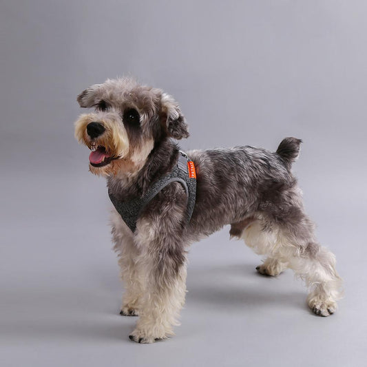 TEEK - Air Pro Dog Harness PET SUPPLIES theteekdotcom   
