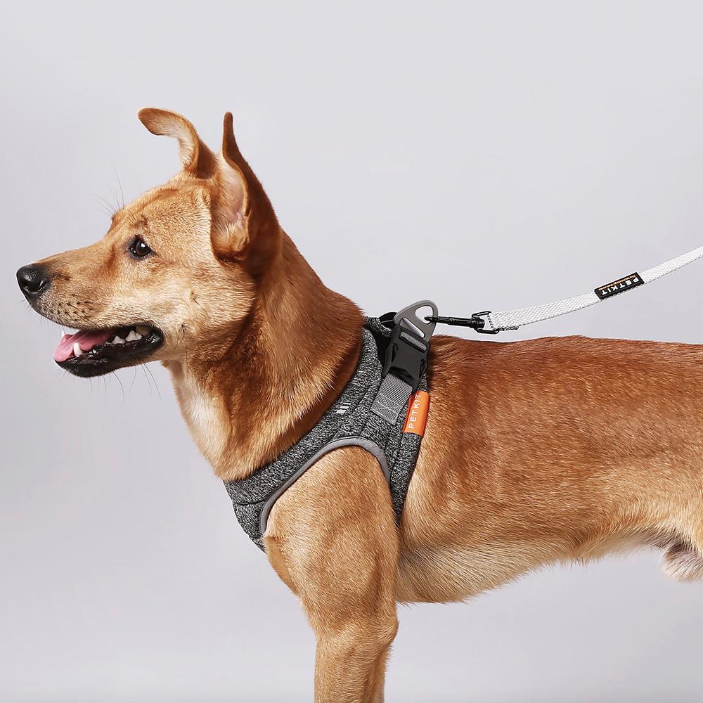 TEEK - Air Pro Dog Harness PET SUPPLIES theteekdotcom   