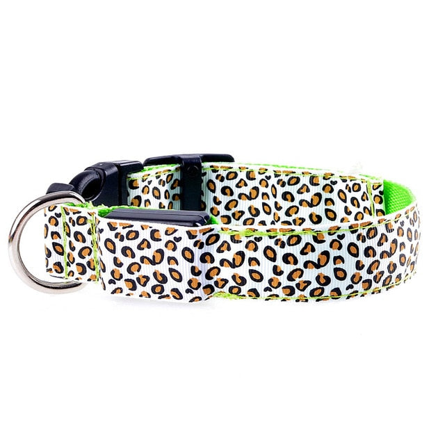 TEEK - Light Up Leopard LED Dog Collar PET SUPPLIES theteekdotcom Green XL 52-60cm 