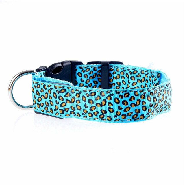 TEEK - Light Up Leopard LED Dog Collar PET SUPPLIES theteekdotcom Blue XS 28-38cm 