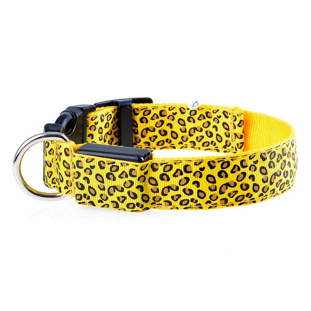 TEEK - Light Up Leopard LED Dog Collar PET SUPPLIES theteekdotcom Yellow XS 28-38cm 