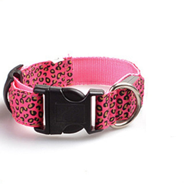 TEEK - Light Up Leopard LED Dog Collar PET SUPPLIES theteekdotcom Pink XS 28-38cm 