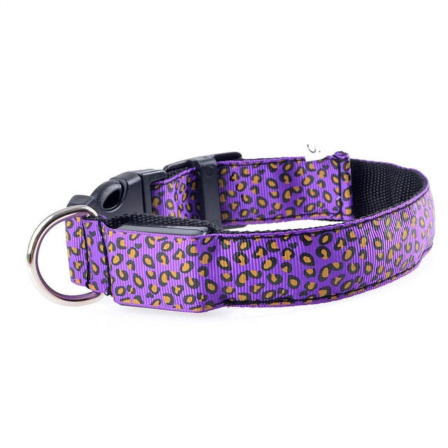 TEEK - Light Up Leopard LED Dog Collar PET SUPPLIES theteekdotcom Purple XS 28-38cm 